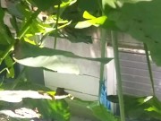 Have no clue as always looks promising tho/ lmao its mi armadilla family yo 11/16