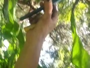 Have no clue as always looks promising tho/ lmao its mi armadilla family yo 12/16