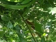 Have no clue as always looks promising tho/ lmao its mi armadilla family yo 13/16