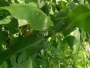 Have no clue as always looks promising tho/ lmao its mi armadilla family yo 14/16