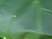 Have no clue as always looks promising tho/ lmao its mi armadilla family yo 15/16