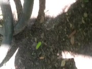 Have no clue as always looks promising tho/ lmao its mi armadilla family yo 16/16