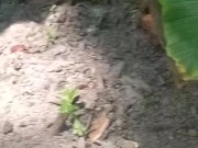 Have no clue as always looks promising tho/ lmao its mi armadilla family yo 2/16