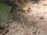 Have no clue as always looks promising tho/ lmao its mi armadilla family yo 3/16