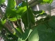 Have no clue as always looks promising tho/ lmao its mi armadilla family yo 5/16