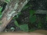 Have no clue as always looks promising tho/ lmao its mi armadilla family yo 6/16