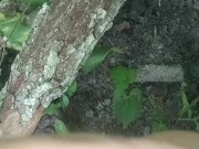 Have no clue as always looks promising tho/ lmao its mi armadilla family yo 7/16