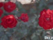 Delphine Films- Coming Home 1/16