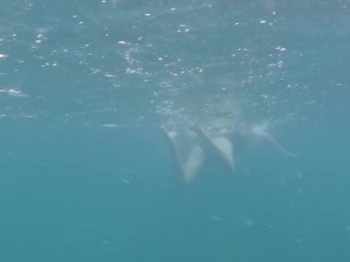 Blue water, black swimsuit, beautiful legs