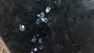 Bodybuilder Shoots HUGE Load of Thick Cum Outside OnlyfansBeefBeast Hyperspermia Musclebear Hairy