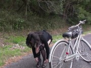 Mature Japanese hostess club mistress takes time off from managing her stable of girls to meet a camera-wielding JAV director 8/16