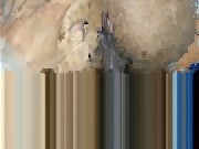 سكس عربي نيكني شوية شوية دخلو بطيزي - Screenshot 5 of 16 - Irani