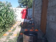 barrel ball how many times will I hit out of 7 attempts 11/16