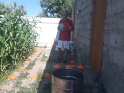 barrel ball how many times will I hit out of 7 attempts 12/16