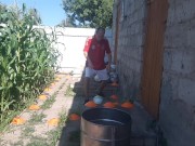 barrel ball how many times will I hit out of 7 attempts 13/16