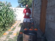 barrel ball how many times will I hit out of 7 attempts 14/16