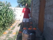 barrel ball how many times will I hit out of 7 attempts 16/16