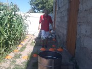 barrel ball how many times will I hit out of 7 attempts 4/16