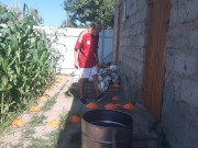 barrel ball how many times will I hit out of 7 attempts 6/16