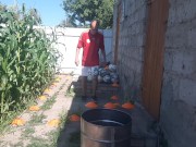 barrel ball how many times will I hit out of 7 attempts 7/16