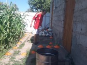 barrel ball how many times will I hit out of 7 attempts 8/16