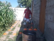 barrel ball how many times will I hit out of 7 attempts 9/16