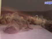 Lisa Fox shaving head 2023. With big love to Sinéad O'Connor 14/16