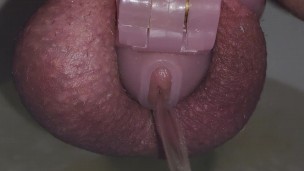 GOING PEE LIFE IN A CHASTITY CAGE