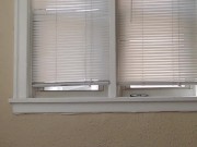 Bussin' In Her Pussy 16/16