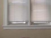 Bussin' In Her Pussy 7/16