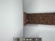 How to build a Modern House with a Pool in Minecraft 14/16