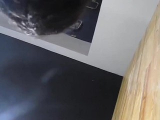 Transando na loja com um cliente especial  Meine Tigerin