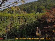 Testing Remote Controlled Toy from Sohimi 9/16