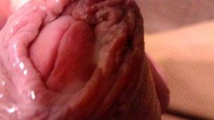 Marinated Foreskin Penis