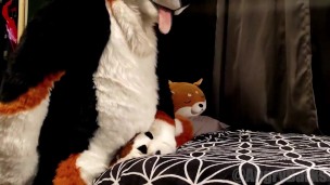 Horny pup humps his own paws