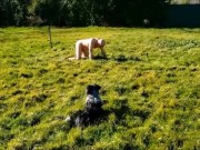 VOST engl - Training barre d'écartement 1.