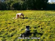 VOST engl - Training barre d'écartement 1. - Screenshot 12 of 16 - HD