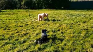 VOST engl - Training barre d'écartement 1.