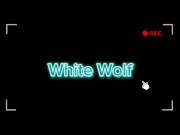 White Wolf OFC  branquinha White Moon brincando com pau no final do dia 2/16
