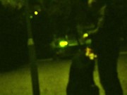 He put a dog leash around my neck and I had to suck his cock in a public park while cars pas 12/16