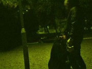 He put a dog leash around my neck and I had to suck his cock in a public park while cars pas 14/16