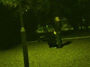 He put a dog leash around my neck and I had to suck his cock in a public park while cars pas 3/16