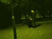 He put a dog leash around my neck and I had to suck his cock in a public park while cars pas 6/16