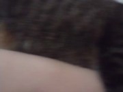 Pussy Cat Cuddling With Sexy Legs and Feet 16/16