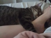 Pussy Cat Cuddling With Sexy Legs and Feet 5/16