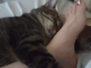 Pussy Cat Cuddling With Sexy Legs and Feet 9/16