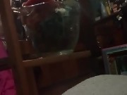 Rip old man neighbor 2/16