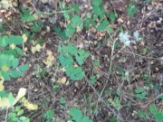 She licks my unshaven pussy in piss - Lesbian_illusion