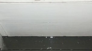Peeing on my door for fun