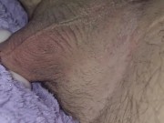 Hot Wet Plush Pussy! 8/16